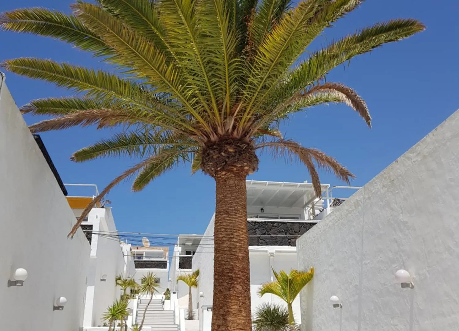 Stunning 2 Bedroom Duplex Close To Main Beach With Seaviews بويرتو ذيل كارمين